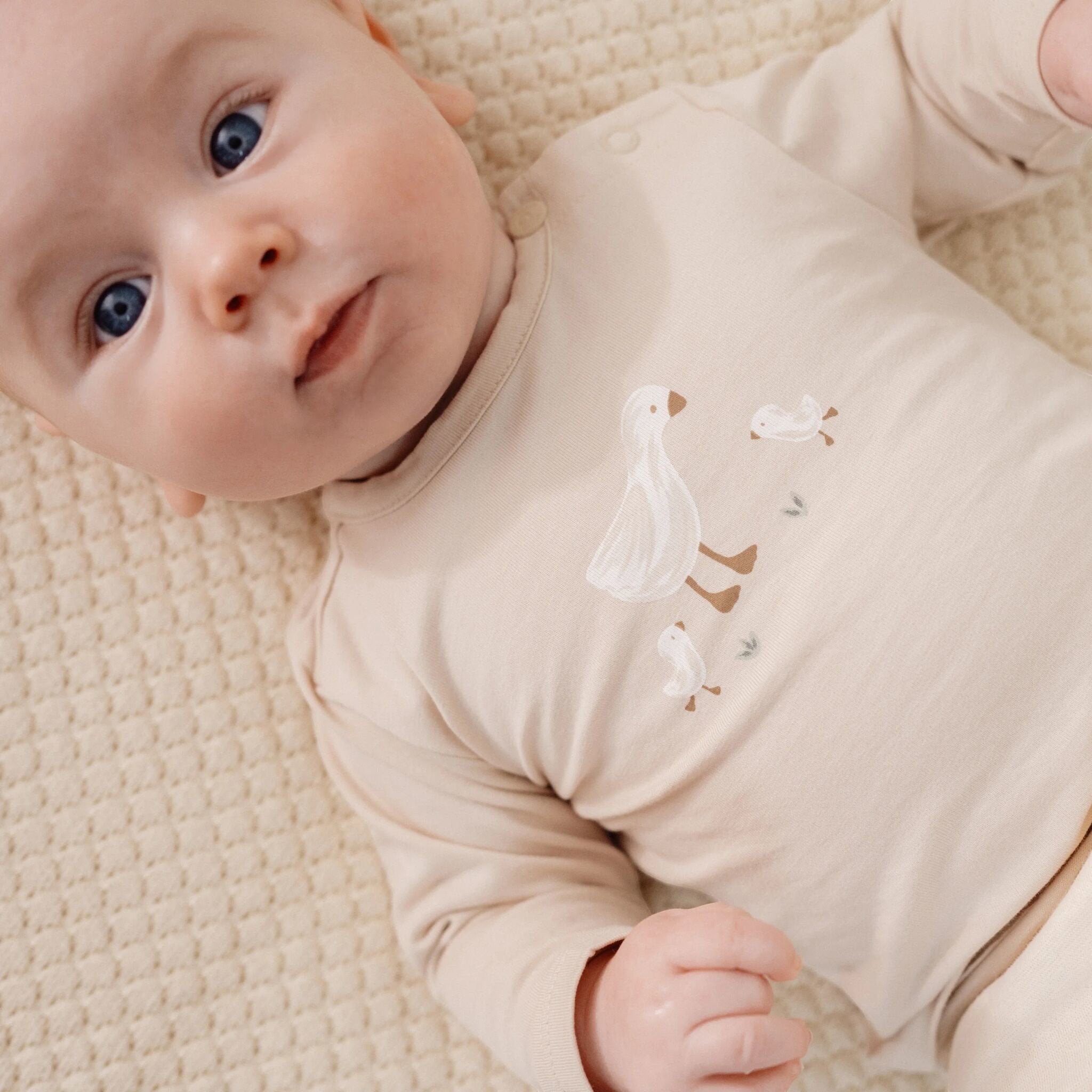 Maglietta a manica lunga Neonato Avorio CL25291001