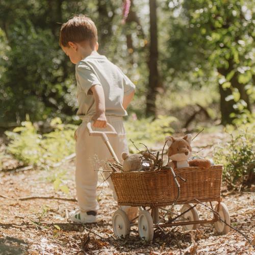 Piccola Volpe - Amici della foresta  MULTICOLORE LD8904 -  NANU' BABY