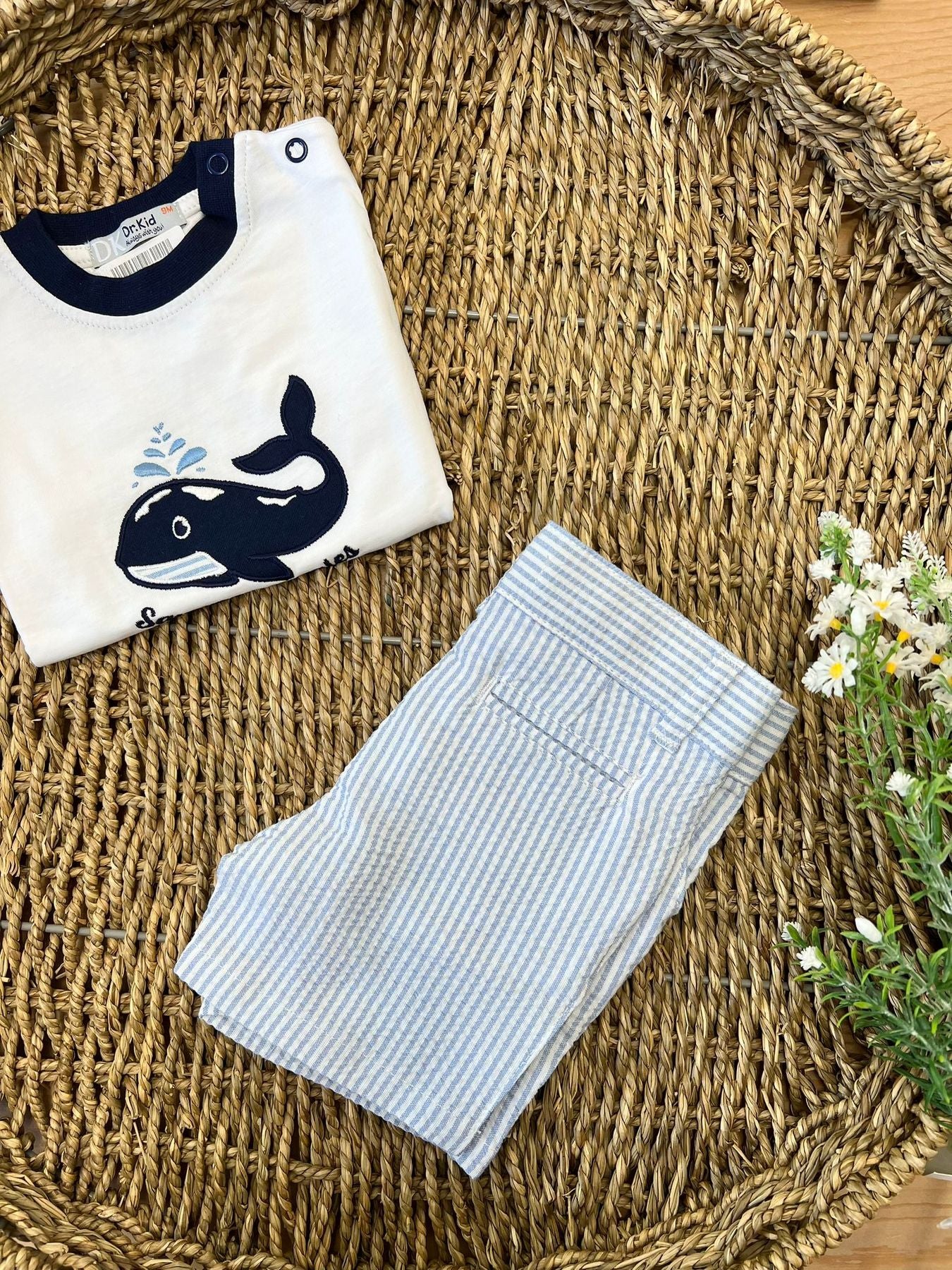 Bermuda bacchettato Bimbo AZZURRO SAVE DK304 -  NANU' BABY