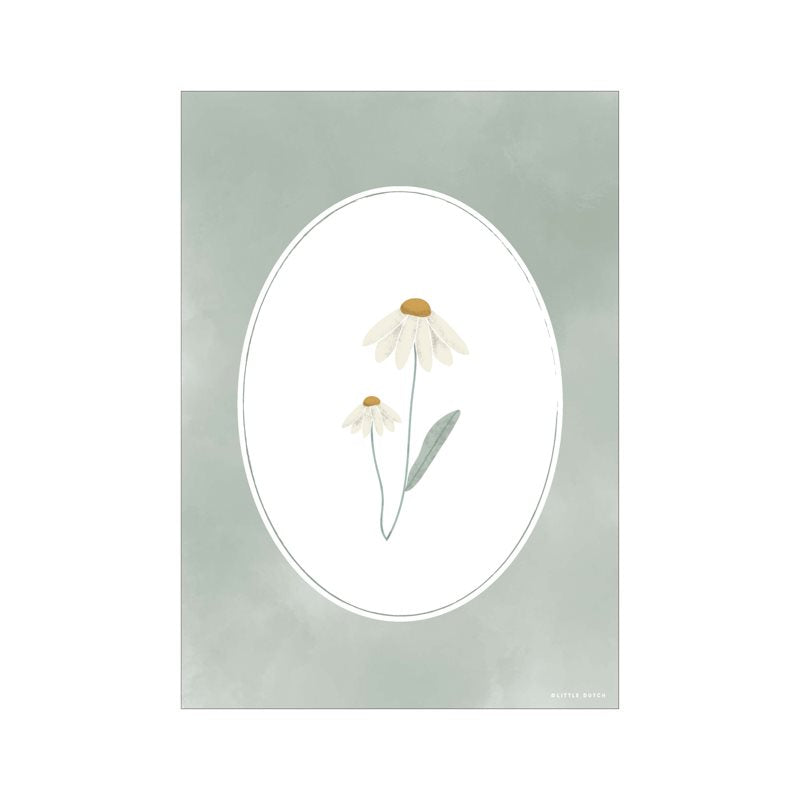 Poster A3 Verde  VERDE PW10810810 -  NANU' BABY
