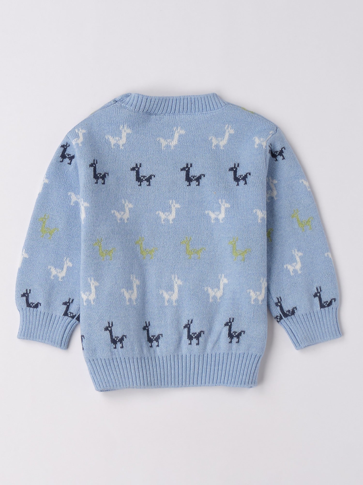 Maglia Chiusa Bimbo Blu 3F656/3964 -  NANU' BABY