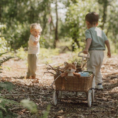 Piccola Volpe - Amici della foresta  MULTICOLORE LD8904 -  NANU' BABY