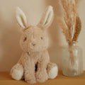 Peluche Beige LD8450 by LITTLE DUTCH