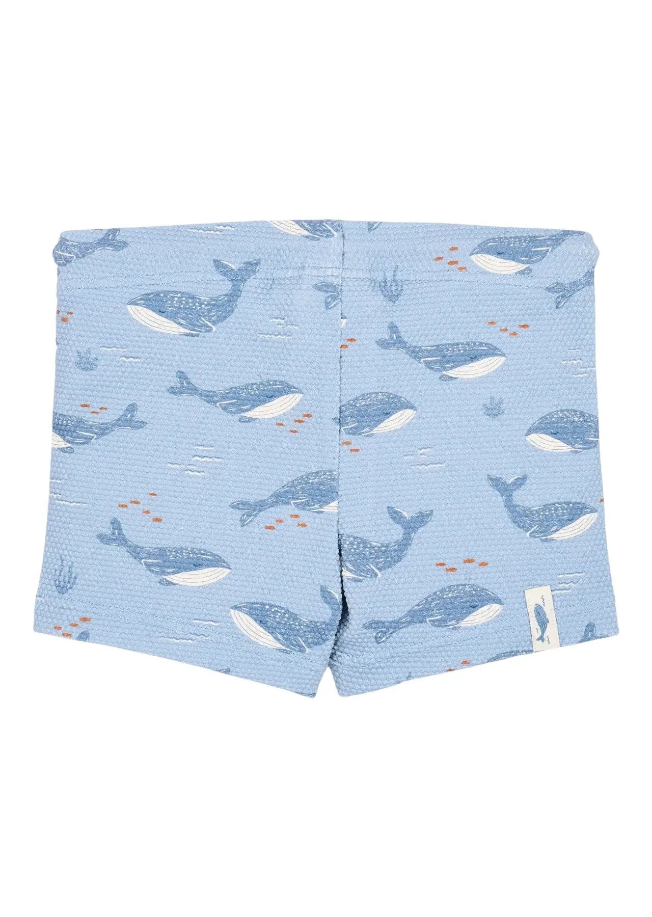 Costume Bimbo Azzurro CL26030501 by LITTLE DUTCH
