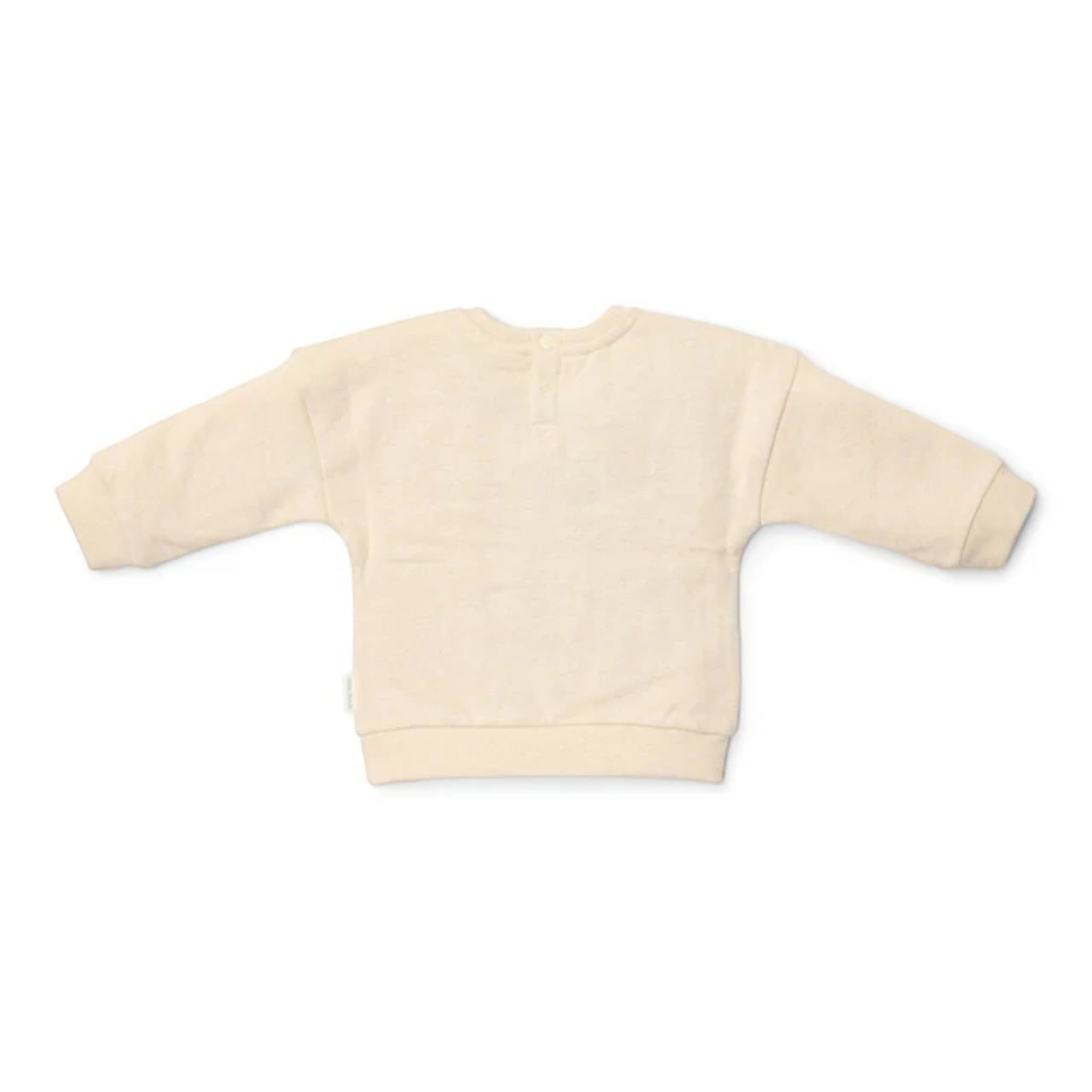Maglione  - Amici della foresta Bimbo Avorio CL25092049