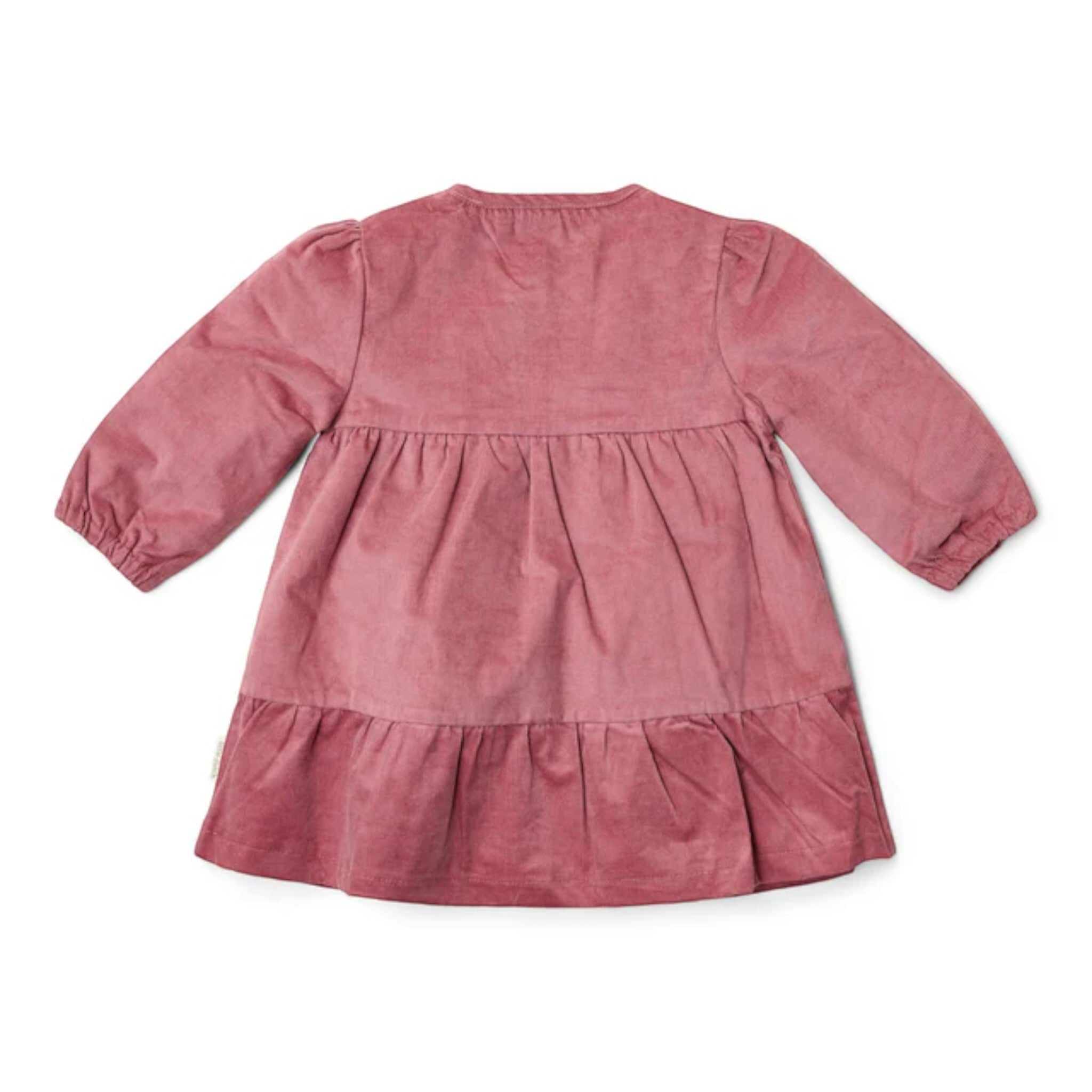 Long-sleeved dress - Fairy Garden Girl Pink CL25095001