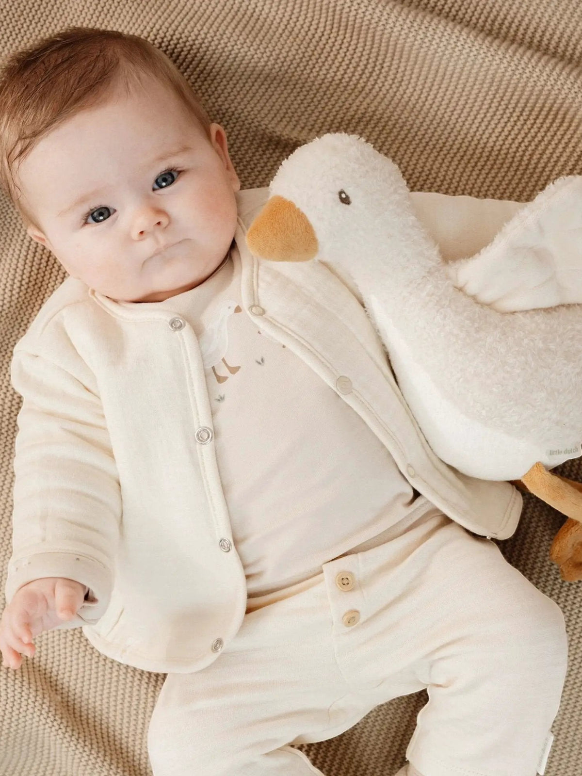 Giacca Neonato Beige CL25292013 by LITTLE DUTCH